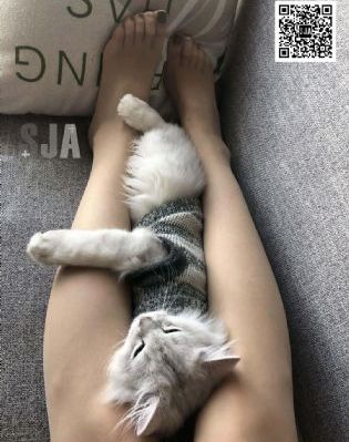 香蜜沉沉烬如霜免费全集在线观看_1080日韩电影在线